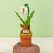 Snow Drop Blossom Potted Wool Plant