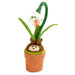 Snow Drop Blossom Potted Wool Plant