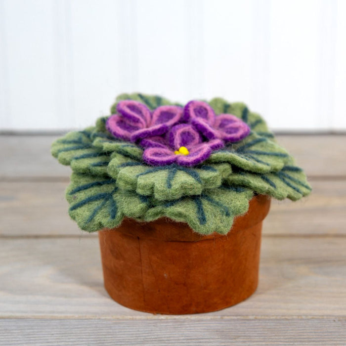 African Violet Potted Wool Plant