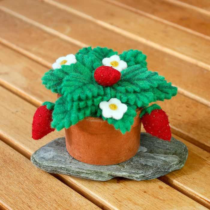 Strawberry Potted Wool Plant