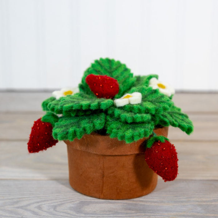 Strawberry Potted Wool Plant