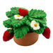 Strawberry Potted Wool Plant