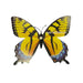 Yellow Swallowtail Glow in the Dark Paper Butterfly Magnet