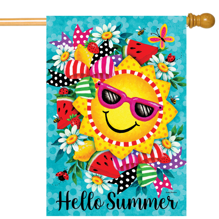 Hello Summer Banner Flag