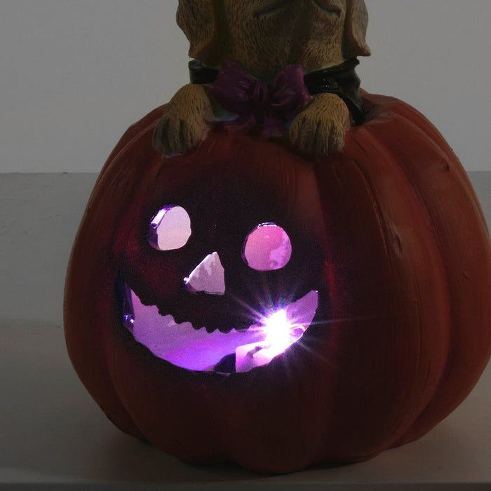 Witch Dog Peeking LED Jack O' Lantern
