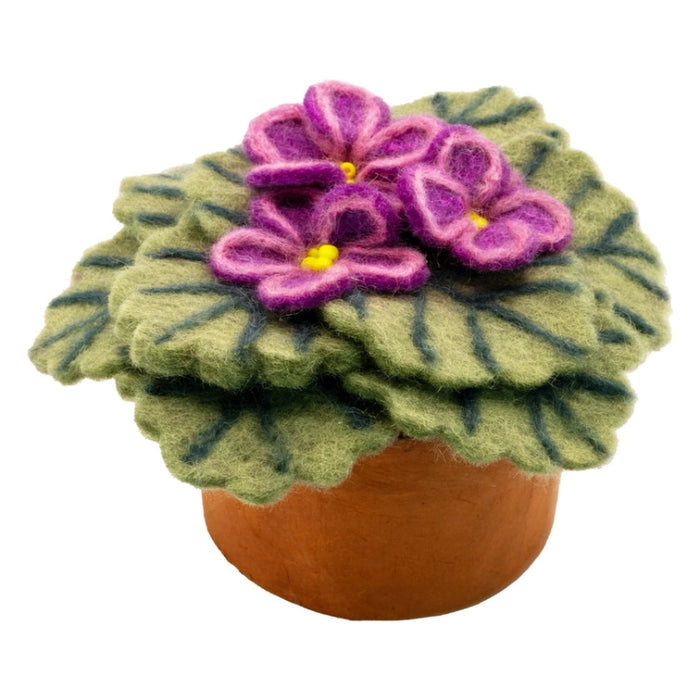 African Violet Potted Wool Plant