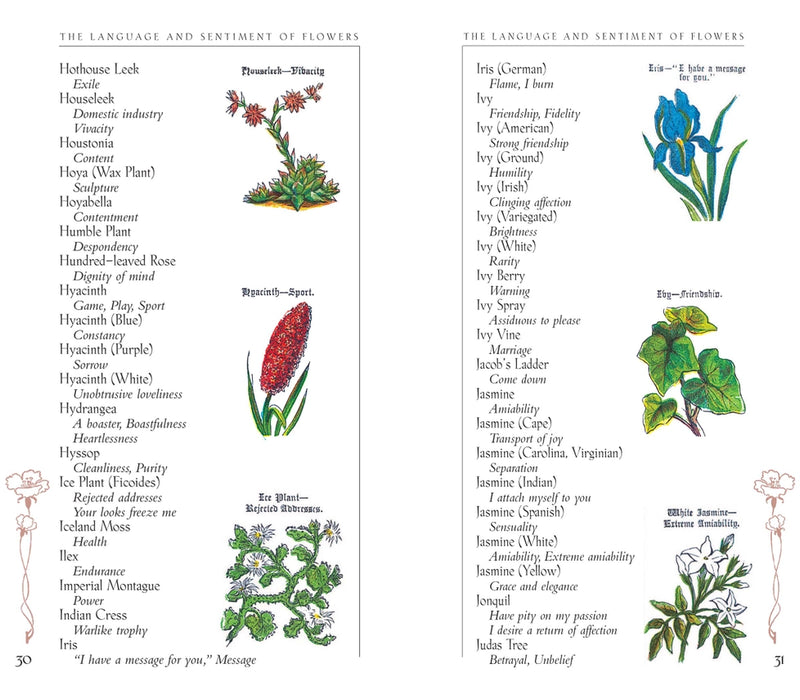 The Language and Sentiment of Flowers Book