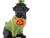Green Top Hat Trick or Treat Dog Figurine