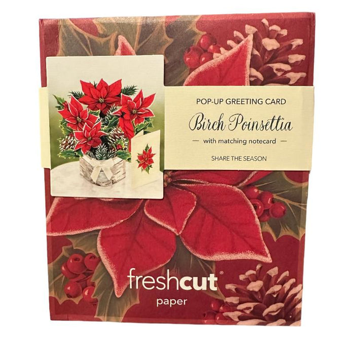 Mini Birch Poinsettia Pop-Up Bouquet w/ Note Card