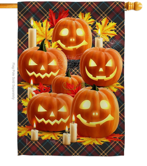 Pumpkin Patch Banner Flag
