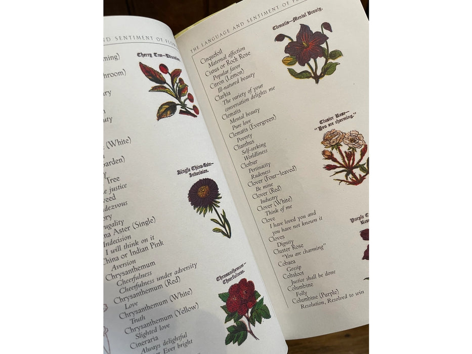 The Language and Sentiment of Flowers Book
