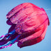 80" Jellyfish Big Breeze Windsock