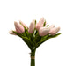 Light Pink - Real Feel Single Tulip Bud