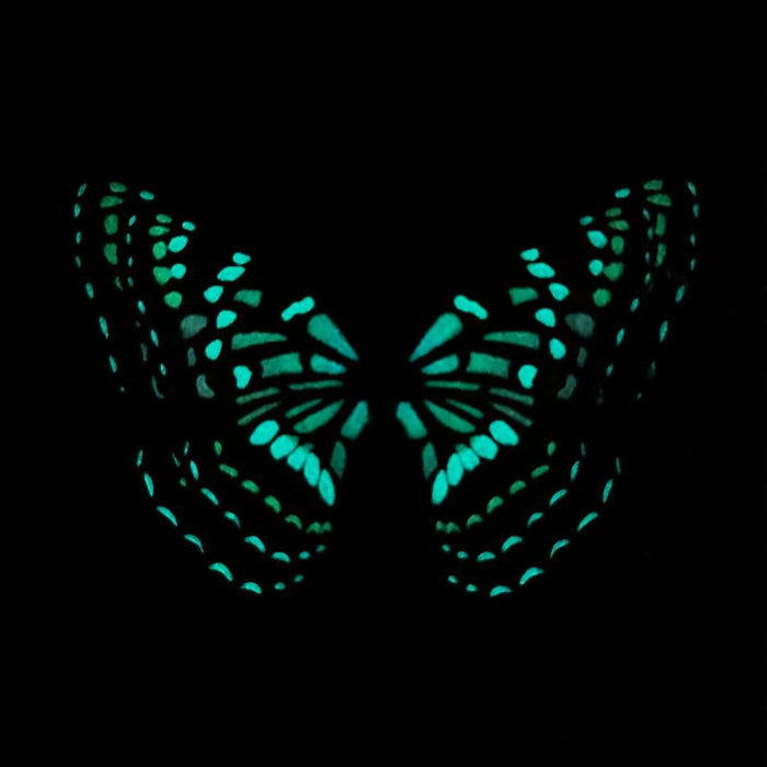 Purple Lacewing Glow in the Dark Paper Butterfly Magnet