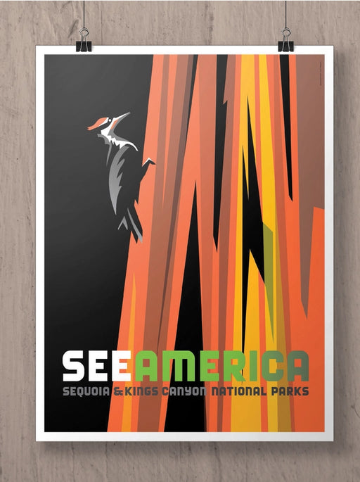See America Illustrative Book