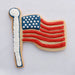 Flag Cookie Cutter - Made in USA