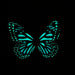 Blue Monarch Glow in the Dark Paper Butterfly Magnet