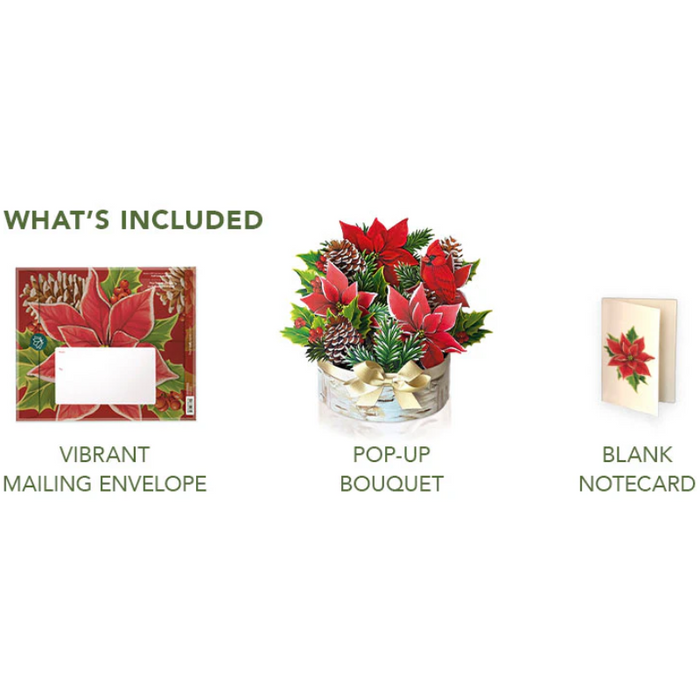 Birch Poinsettia Pop-Up Bouquet w/ Note Card
