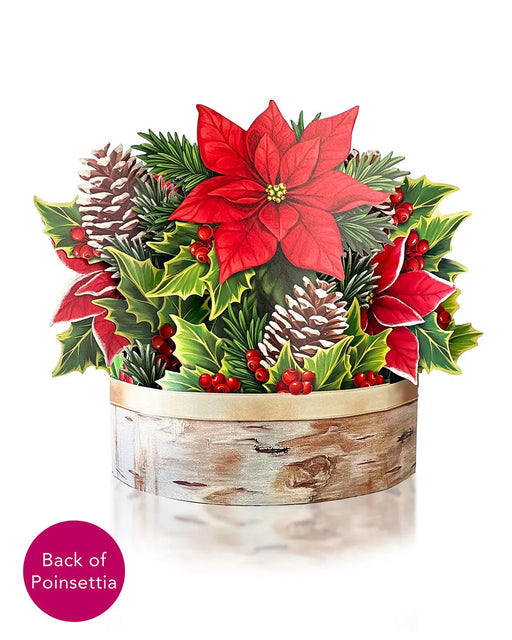 Birch Poinsettia Pop-Up Bouquet w/ Note Card