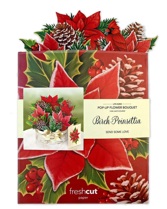 Birch Poinsettia Pop-Up Bouquet w/ Note Card