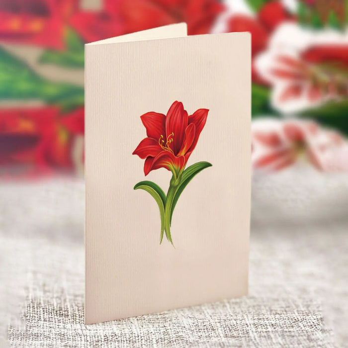 Mini Scarlet Amaryllis Pop-Up Bouquet w/ Note Card