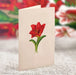 Mini Scarlet Amaryllis Pop-Up Bouquet w/ Note Card