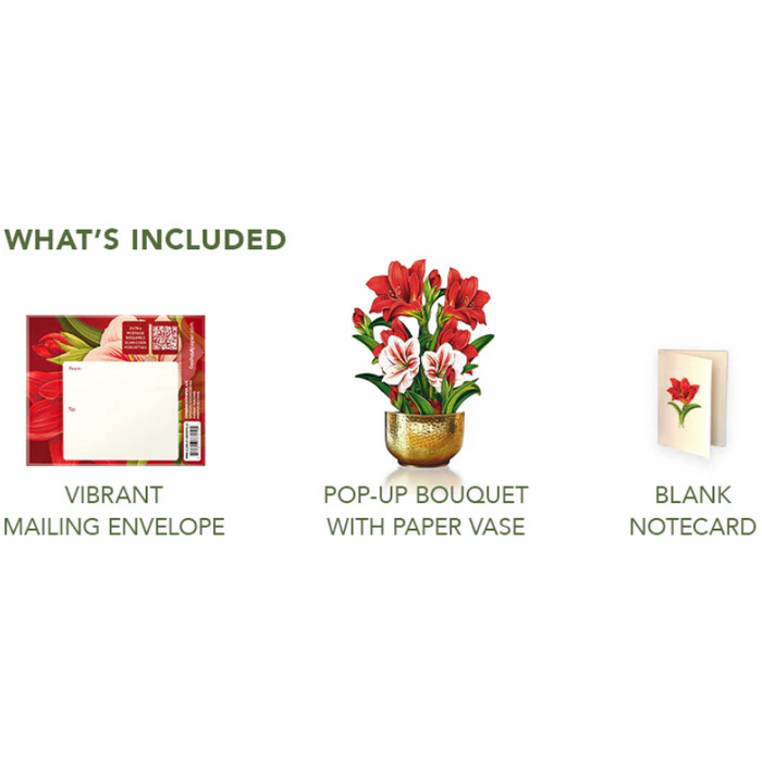 Mini Scarlet Amaryllis Pop-Up Bouquet w/ Note Card