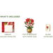 Mini Scarlet Amaryllis Pop-Up Bouquet w/ Note Card