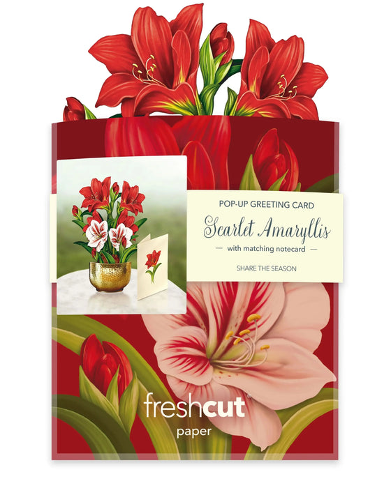 Mini Scarlet Amaryllis Pop-Up Bouquet w/ Note Card