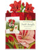 Mini Scarlet Amaryllis Pop-Up Bouquet w/ Note Card