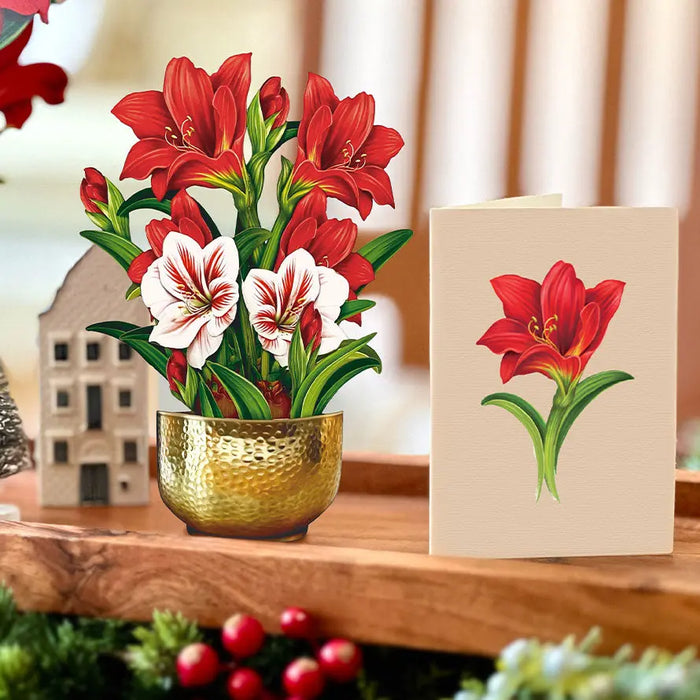 Mini Scarlet Amaryllis Pop-Up Bouquet w/ Note Card