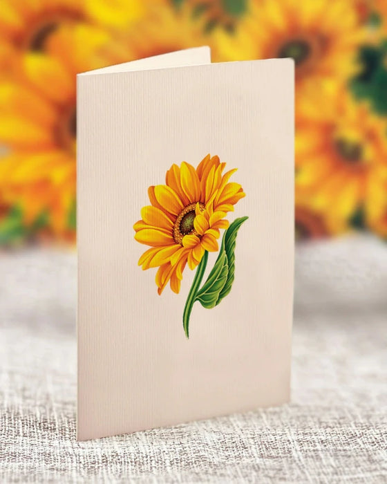 Mini Sunflowers Pop-Up Bouquet w/ Note Card