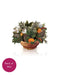 Mini Winter Magnolia Pop-Up Bouquet w/ Note Card