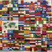 3x5' World Nylon Flag