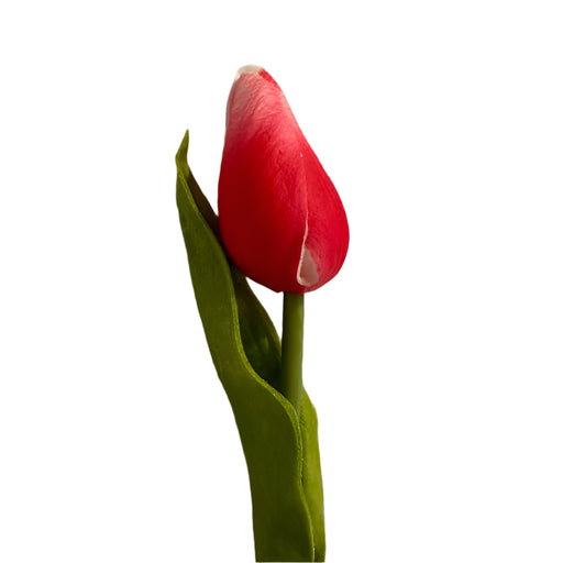 Dark Pink - Real Feel Single Tulip Bud