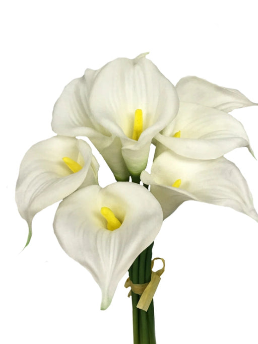 Ivory White - Real Feel Single Calla Lily