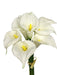 Ivory White - Real Feel Single Calla Lily