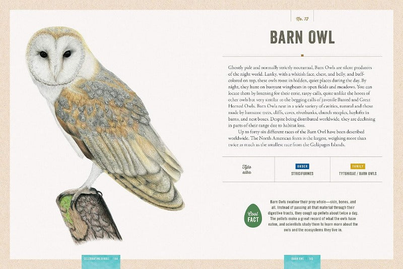 Celebrating Birds: An Interactive Guide Book