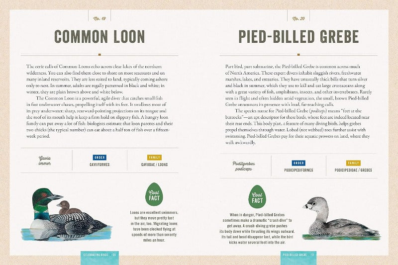 Celebrating Birds: An Interactive Guide Book