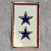 Blue Stars Two Family Members In Service Lapel Pin 2025