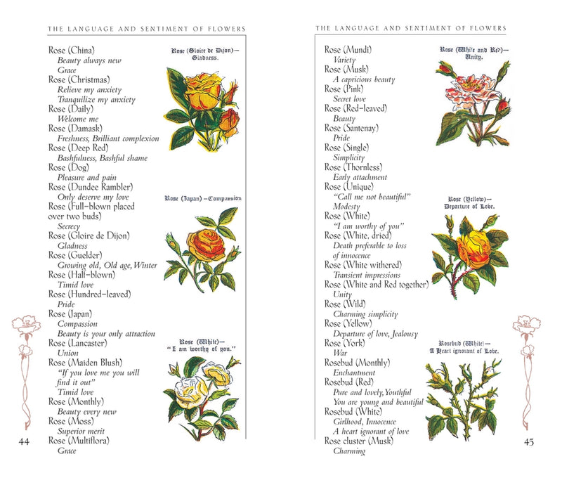 The Language and Sentiment of Flowers Book
