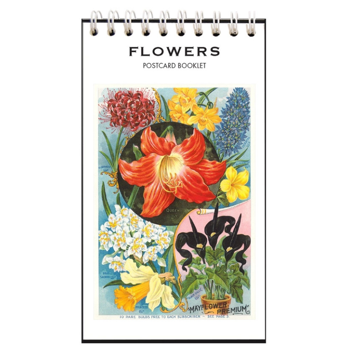 Vintage Flowers Postcard Booklet