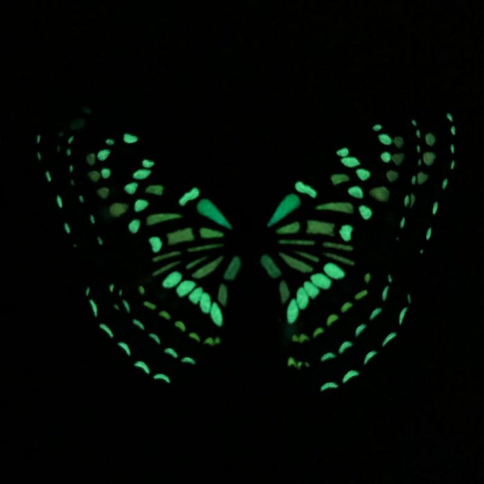 Blue Lacewing Glow in the Dark Paper Butterfly Magnet