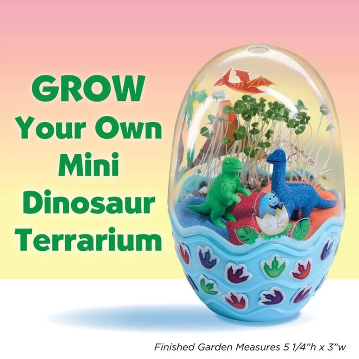 Dinosaur Mini Garden Terrarium