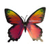 Sunset Swallowtail Glow in the Dark Paper Butterfly Magnet