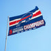 Buffalo Bills AFC Champ 3x5 Flag on pole