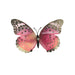 Pink Lacewing Glow in the Dark Paper Butterfly Magnet