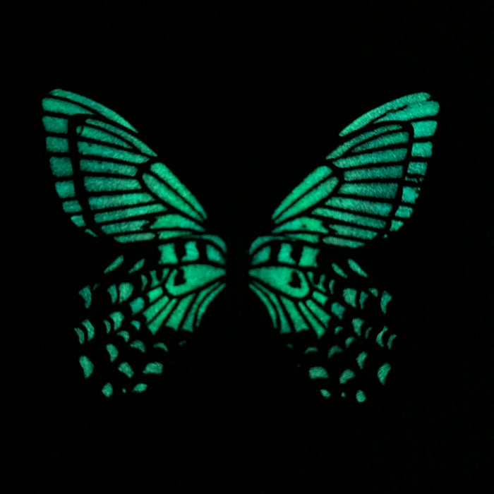 Aurora Swallowtail Glow in the Dark Paper Butterfly Magnet