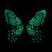 Aurora Swallowtail Glow in the Dark Paper Butterfly Magnet