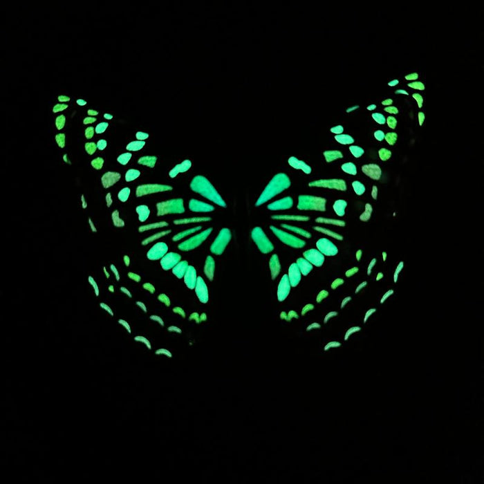 Coral Lacewing Glow in the Dark Paper Butterfly Magnet